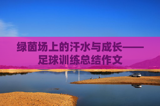 绿茵场上的汗水与成长——足球训练总结作文