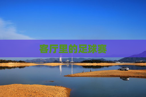 客厅里的足球赛