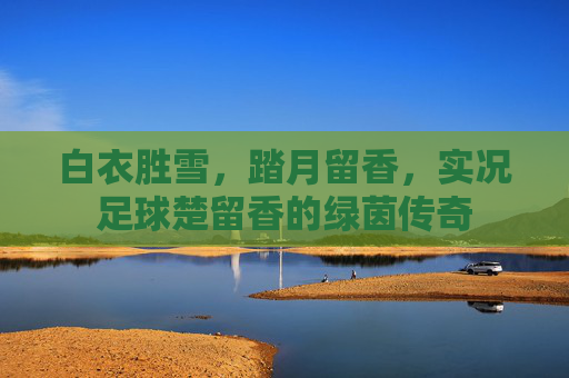 白衣胜雪，踏月留香，实况足球楚留香的绿茵传奇