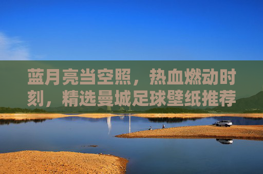 蓝月亮当空照，热血燃动时刻，精选曼城足球壁纸推荐