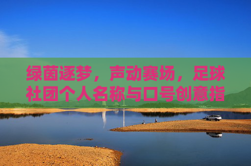 绿茵逐梦，声动赛场，足球社团个人名称与口号创意指南