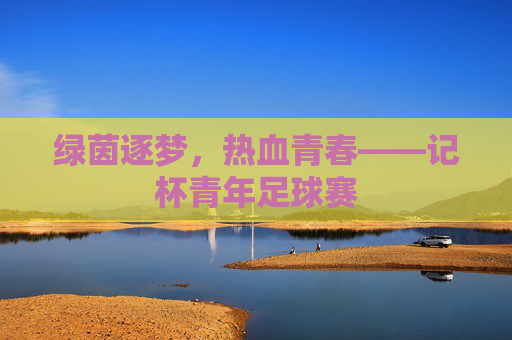 绿茵逐梦，热血青春——记杯青年足球赛