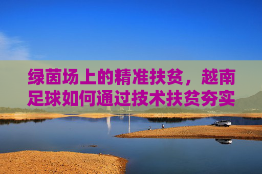 绿茵场上的精准扶贫，越南足球如何通过技术扶贫夯实崛起根基