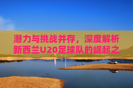 潜力与挑战并存，深度解析新西兰U20足球队的崛起之路