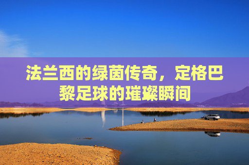 法兰西的绿茵传奇，定格巴黎足球的璀璨瞬间