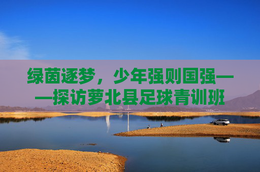 绿茵逐梦，少年强则国强——探访萝北县足球青训班