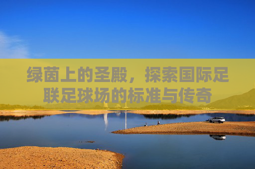 绿茵上的圣殿,探索国际足联足球场的标准与传奇