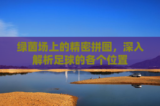 绿茵场上的精密拼图，深入解析足球的各个位置