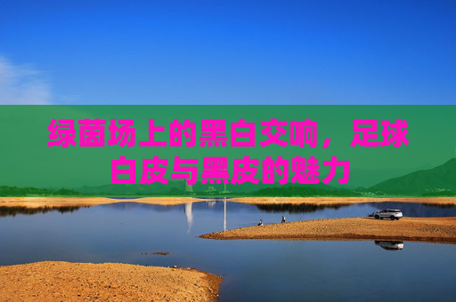 绿茵场上的黑白交响，足球白皮与黑皮的魅力