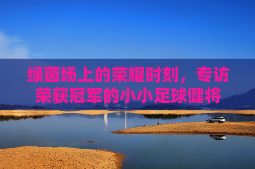 绿茵场上的荣耀时刻，专访荣获冠军的小小足球健将