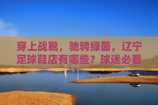 穿上战靴，驰骋绿茵，辽宁足球鞋店有哪些？球迷必看指南