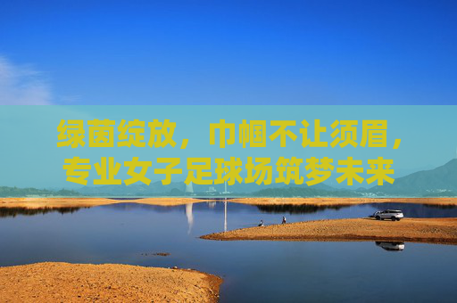 绿茵绽放,巾帼不让须眉,专业女子足球场筑梦未来