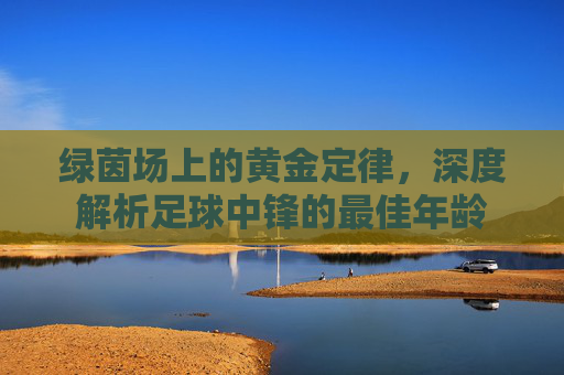 绿茵场上的黄金定律，深度解析足球中锋的最佳年龄