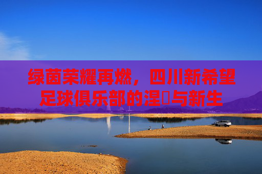 绿茵荣耀再燃,四川新希望足球俱乐部的涅槃与新生
