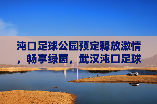 沌口足球公园预定释放激情，畅享绿茵，武汉沌口足球公园全攻略