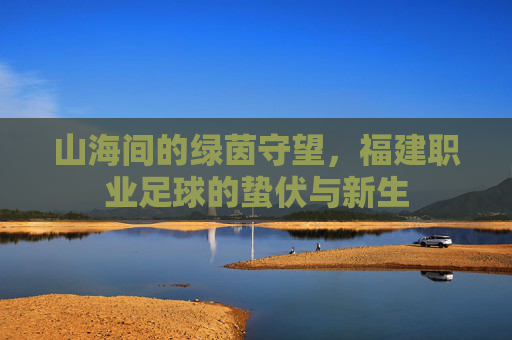 山海间的绿茵守望，福建职业足球的蛰伏与新生