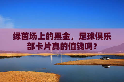 绿茵场上的黑金，足球俱乐部卡片真的值钱吗？