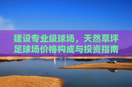 建设专业级球场,天然草坪足球场价格构成与投资指南