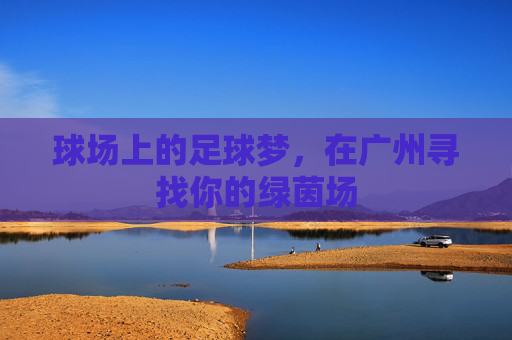 球场上的足球梦,在广州寻找你的绿茵场