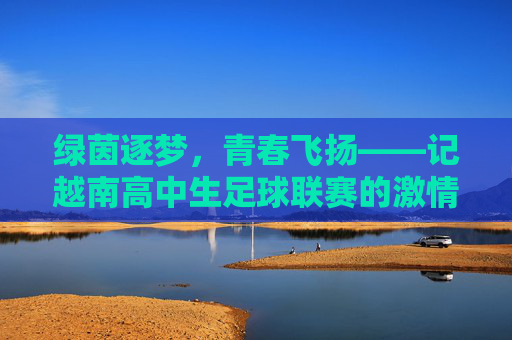 绿茵逐梦,青春飞扬——记越南高中生足球联赛的激情时刻