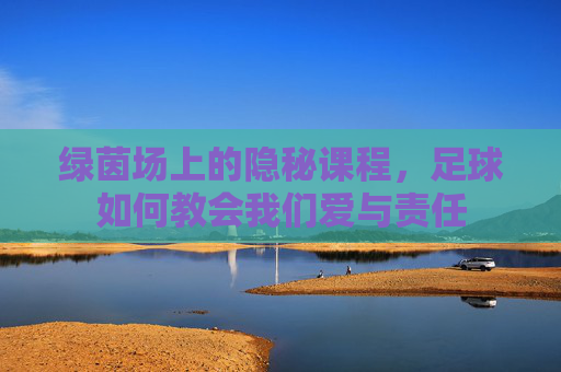 绿茵场上的隐秘课程,足球如何教会我们爱与责任