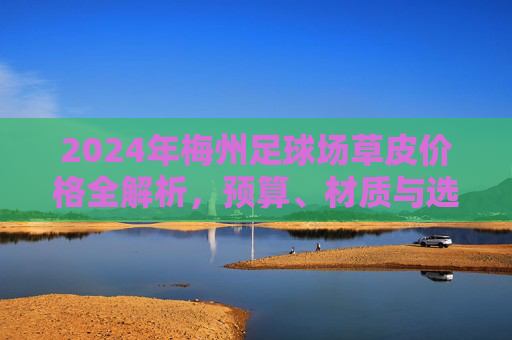 2024年梅州足球场草皮价格全解析,预算、材质与选购指南