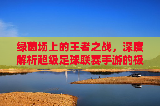 绿茵场上的王者之战,深度解析超级足球联赛手游的极致魅力