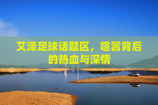艾泽足球话题区，喧嚣背后的热血与深情