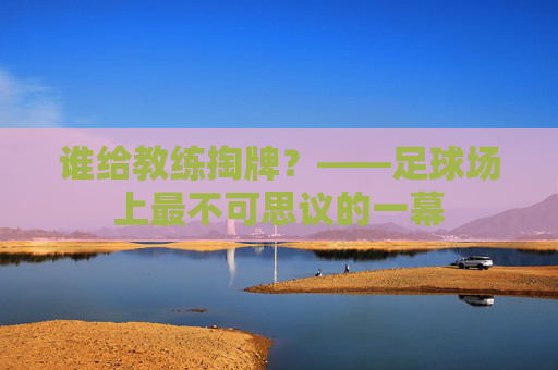 谁给教练掏牌？——足球场上最不可思议的一幕