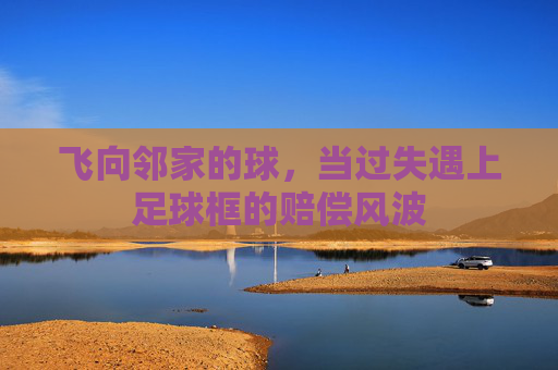 飞向邻家的球,当过失遇上足球框的赔偿风波