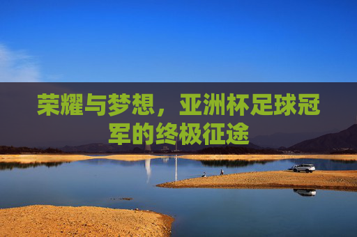 荣耀与梦想，亚洲杯足球冠军的终极征途
