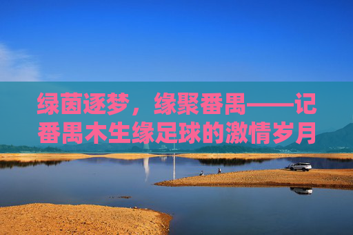 绿茵逐梦，缘聚番禺——记番禺木生缘足球的激情岁月