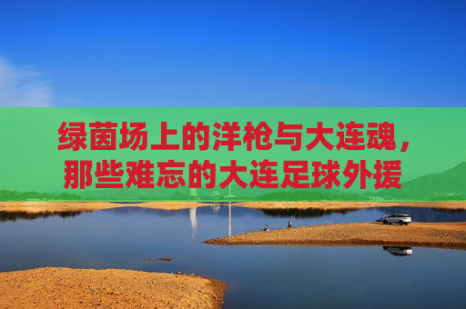 绿茵场上的洋枪与大连魂,那些难忘的大连足球外援