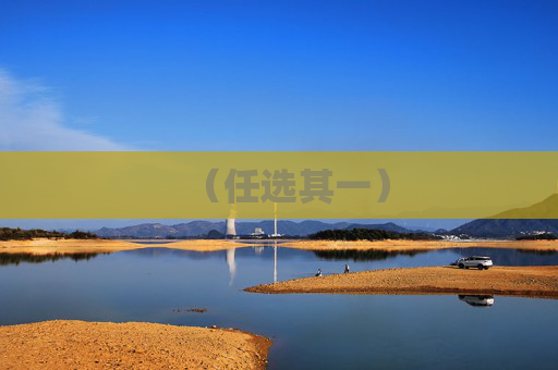 （任选其一）