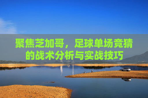 聚焦芝加哥,足球单场竞猜的战术分析与实战技巧