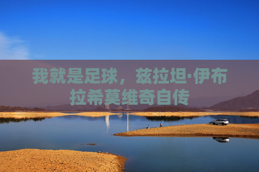 我就是足球,兹拉坦·伊布拉希莫维奇自传