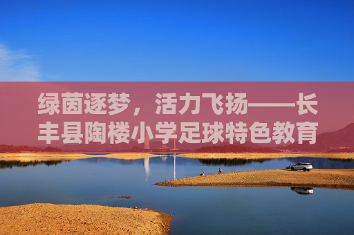 绿茵逐梦，活力飞扬——长丰县陶楼小学足球特色教育纪实