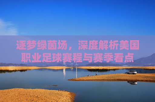 逐梦绿茵场，深度解析美国职业足球赛程与赛季看点