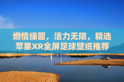 燃情绿茵，活力无限，精选苹果XR全屏足球壁纸推荐
