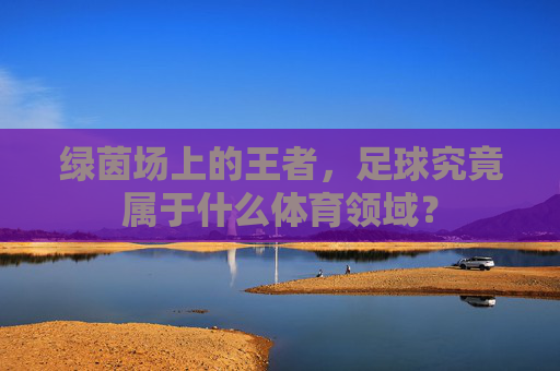 绿茵场上的王者,足球究竟属于什么体育领域?