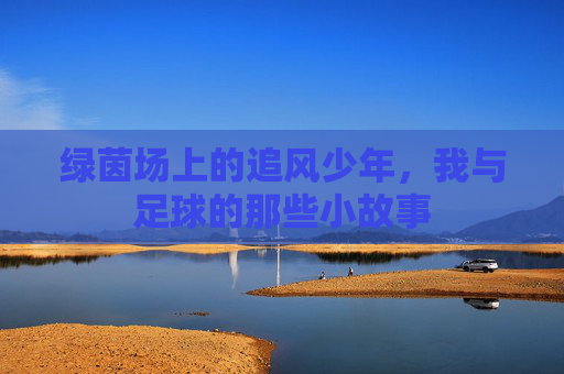 绿茵场上的追风少年，我与足球的那些小故事