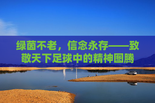 绿茵不老,信念永存——致敬天下足球中的精神图腾