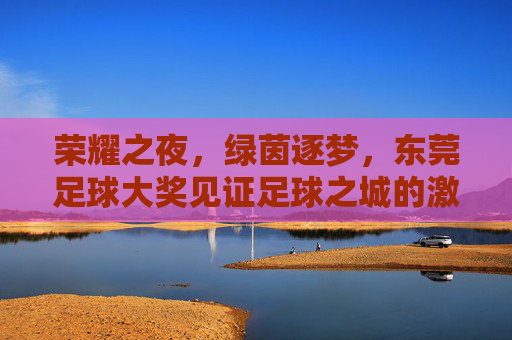 荣耀之夜，绿茵逐梦，东莞足球大奖见证足球之城的激情与荣光