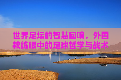 世界足坛的智慧回响，外国教练眼中的足球哲学与战术革新