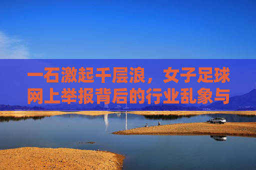 一石激起千层浪，女子足球网上举报背后的行业乱象与反思