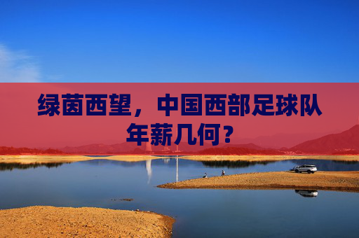 绿茵西望,中国西部足球队年薪几何?