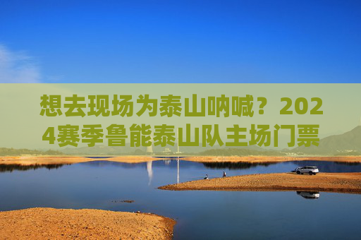 想去现场为泰山呐喊？2024赛季鲁能泰山队主场门票价格全解析