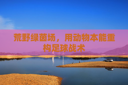 荒野绿茵场,用动物本能重构足球战术