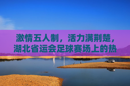 激情五人制，活力满荆楚，湖北省运会足球赛场上的热血与梦想