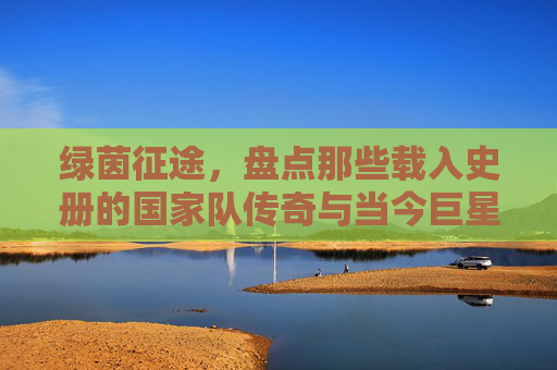 绿茵征途，盘点那些载入史册的国家队传奇与当今巨星